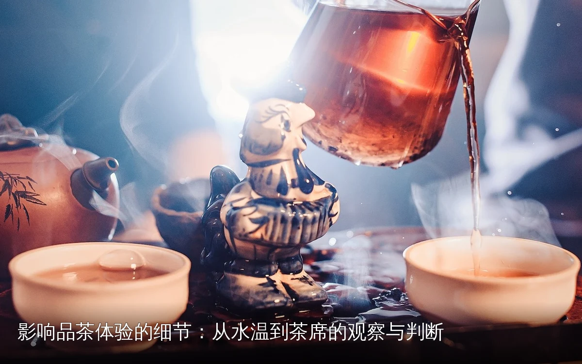 影响品茶体验的细节：从水温到茶席的观察与判断